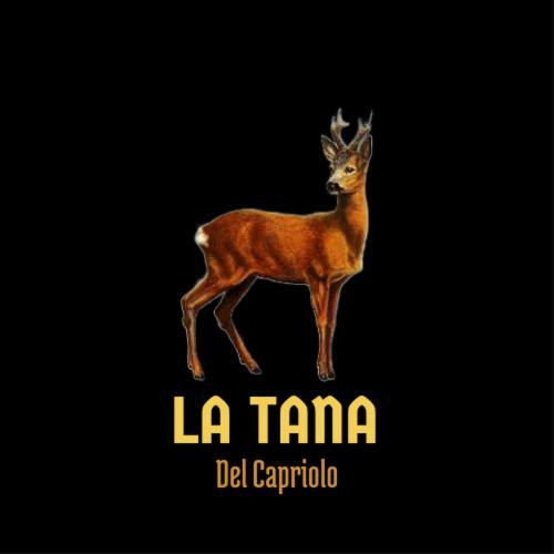 La Tana Del Capriolo Apartman Prati di Tivo Kültér fotó